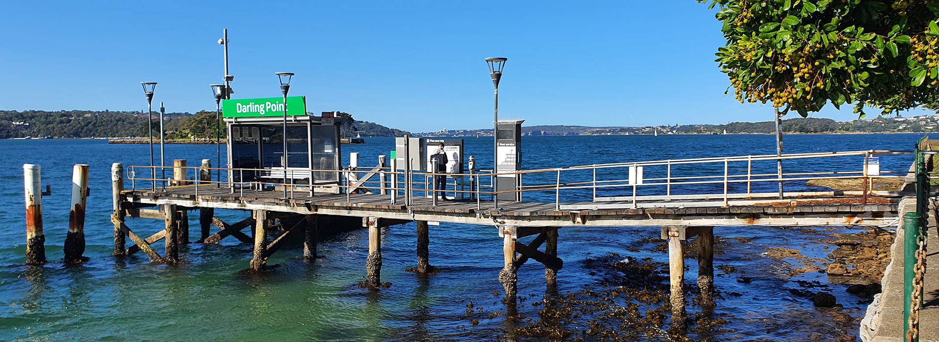 Limo Hire Darling Point
